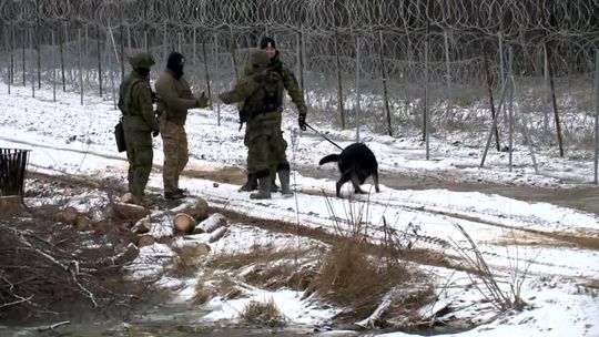 1,5 tys. prób nielegalnego przekroczenia granicy w grudniu. Straż Graniczna podała najnowsze dane