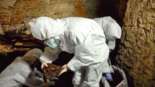 10 lat badań i w końcu koniec. Co skrywały podziemia pod bazyliką?