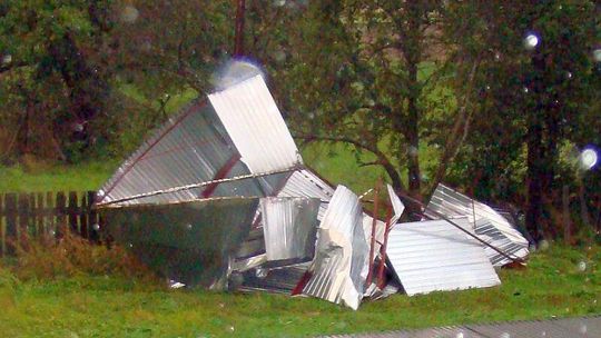 100 interwencji strażaków po wichurze w woj. lubelskim