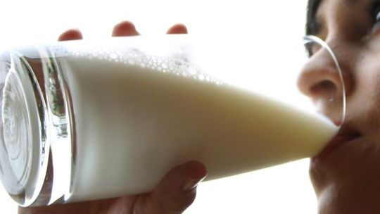 100 ton mleka z Krasnegostawu pojechało do Algierii