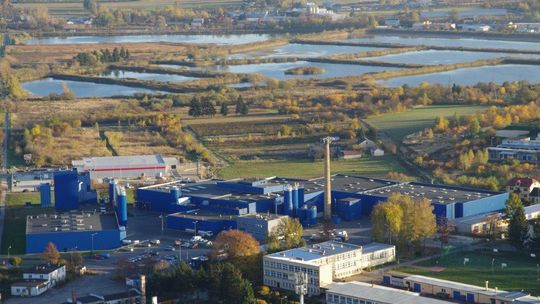 Spółdzielnia Mleczarska Ryki świętuje 100-lecie istnienia. Na przestrzeni stu lat rozwinęła się z małej rzemieślniczej produkcji masła i nabiału do nowoczesnego zakładu, obecnego w Polsce i za granicą. Jubileusz obejmuje nowe logo, odświeżone opakowania i premierowe produkty.