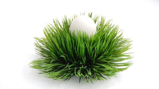 11 sposobów na wielkanocne jajko. Z kaparami, anchois lub mango