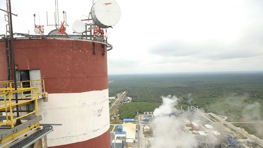 12 kandydatów na prezesa Zakładów Azotowych "Puławy"