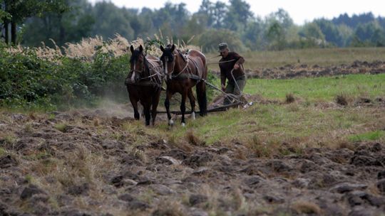 13,5 mld euro na rozwój polskiej wsi
