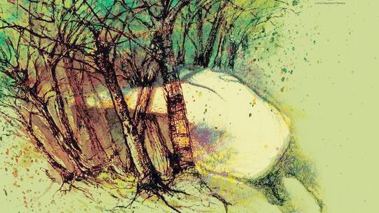 13. Letnia Akademia Filmowa: kilkaset filmów w lesie