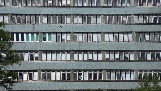 13 osób straciło pracę w szpitalu. Sąd uniewinnił dyrektora