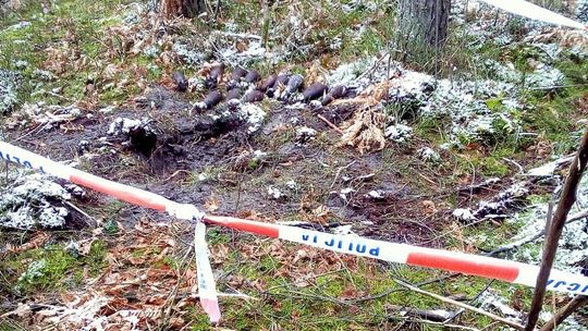 13 zardzewiałych z czasów wojny pocisków leżało spokojnie w lesie w powiecie kraśnickim