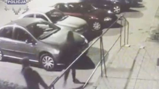 14-latek i jego koleżanki zdemolowali 30 samochodów