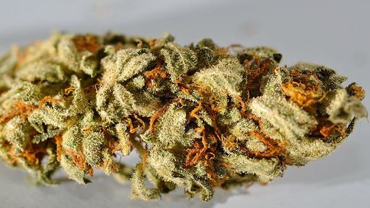 14-latek miał 10 gram marihuany