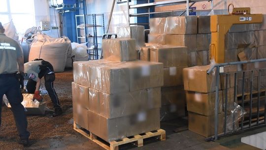 Kontrola ciężarówki w Koroszczynie. W ładunku pelletu ujawniono ponad 220 tys. paczek przemycanych papierosów.