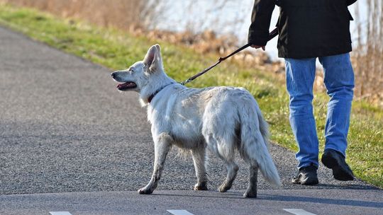 14 tys. lublinian na froncie codziennej walki z koronawirusem. Rocznica Widzialnej Ręki Lublin