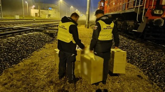 15 tys. paczek papierosów w kontenerze. Rentgen dał im popalić 15 tys. paczek papierosów w kontenerze. Rentgen dał im popalić