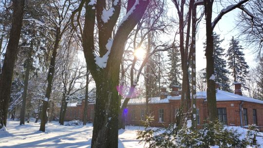 162 miliony w zawieszeniu. Spór o Muzeum Wołyńskie w Chełmie trafia na kolejny front