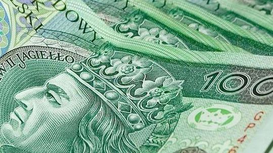 17 kobiet nie dało się nabrać „wnuczkom”