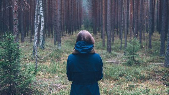 17-latka zabłądziła w lesie. Nocne poszukiwania