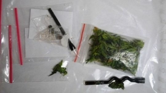 18-latek i 19-latek marihuanę schowali w majtkach