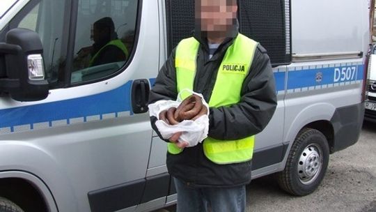 18-latkowie ukradli kiełbasę na święta