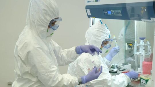 184 nowe przypadki zakażenia koronawirusem. Wśród nich dwie kobiety z pow. radzyńskiego