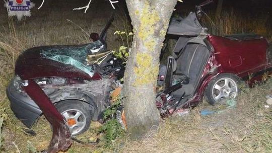 19-latek chciał uniknąć zderzenia ze zwierzęciem. Rozbił auto na drzewie i zginął