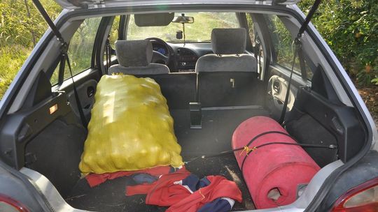 19-latek kradł jabłka z sadu swoich sąsiadów