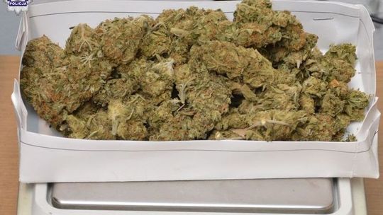 19-latek trzymał w domu nie tylko narkotyki 