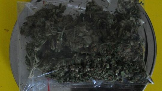 19-latka z Chełma zatrzymana. Policjanci znaleźli w jej domu narkotyki