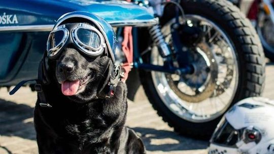 2. Piknik Motoryzacyjny na placu Zamkowym w Lublinie