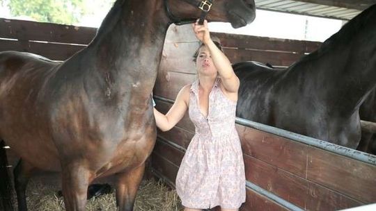 200 hodowców, 400 firm, 30 wystawa rolnicza w Sitnie (zdjęcia)