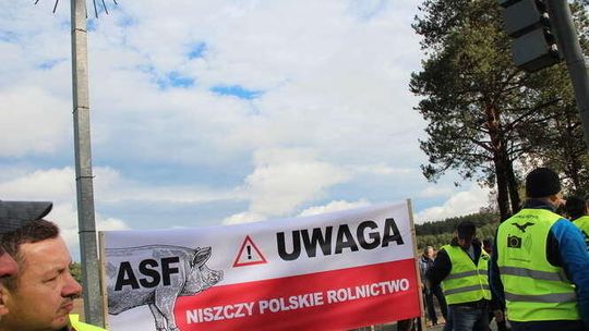 200 zł za padłego dzika. Akcja przedłużona