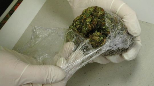 21-latkowie rozprowadzali marihuanę na dyskotece