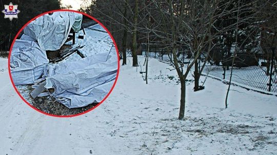 23-latek ciągnął na "kuligu" za samochodem dwie osoby. Jedna z nich uderzyła w drzewo