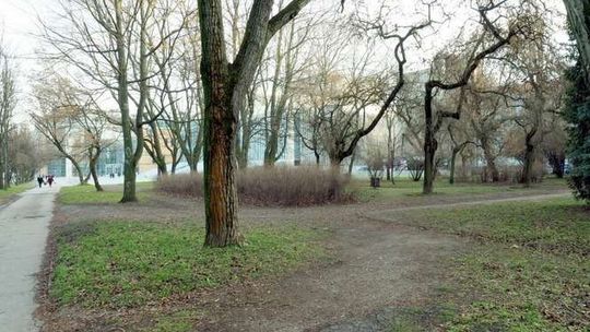 23 osoby chcą zaprojektować pomnik pierwszego rektora KUL