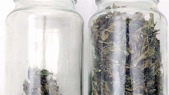 25-latkowie zatrzymani za posiadanie narkotyków