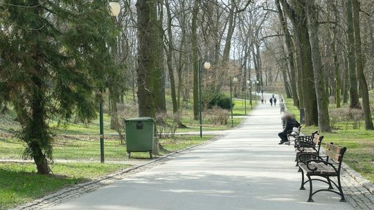 25 tys. złotych trafiło do śmietnika w Ogrodzie Saskim