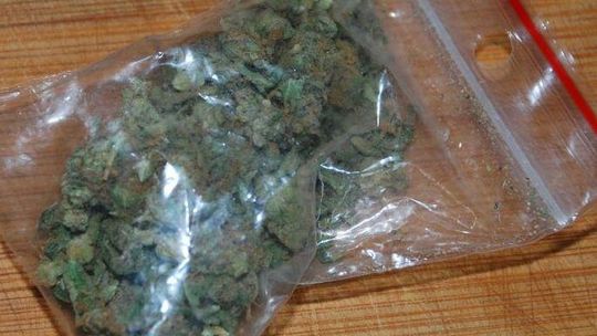 26-latek trafi przed sąd za gram marihuany, który schował w majtkach