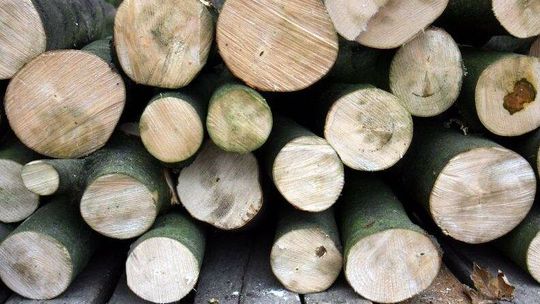 3,9 tys. zł na gaz, 1 tys. zł na drewno. Minister podała stawki dopłat