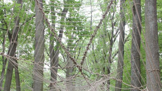 3. Land Art Festiwal w Zwierzyńcu