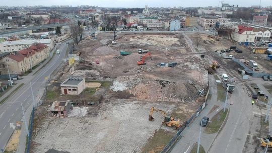 30 lat czyszczenia budek dla ptaków. Na budowie dworca muszą bardziej zadbać o przyrodę