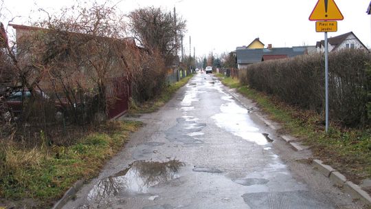 300 metrów schetynówki w Łęcznej