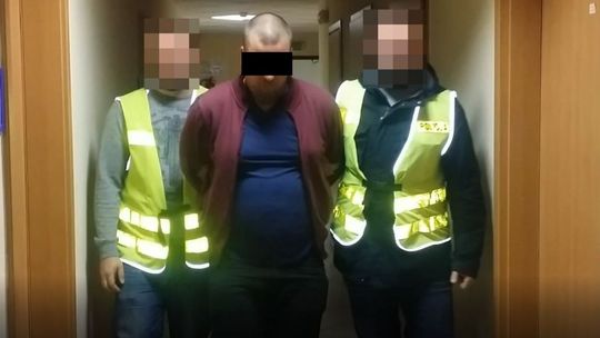 31-latek wpadł z pornografią dziecięcą i ze zwierzętami