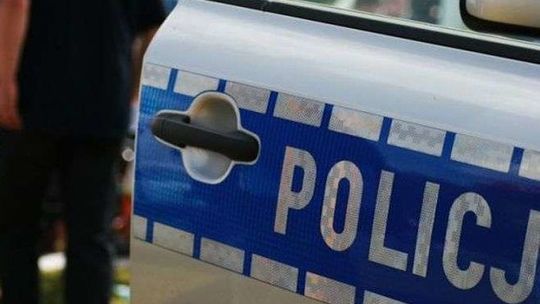 31-latek wrzucił kota do kojca z psem. Zwierzę nie przeżyło 