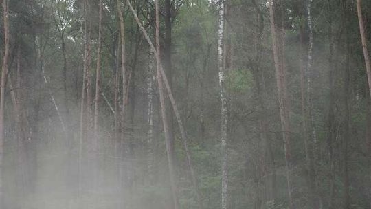 32-latek zgwałcony i bestialsko zabity. Sąd aresztował 3 osoby, przyznali się