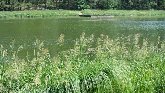 37-latka utonęła w Majdanie Sopockim