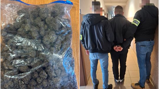 Zabezpieczona marihuana oraz zatrzymanie podejrzanego przez policję