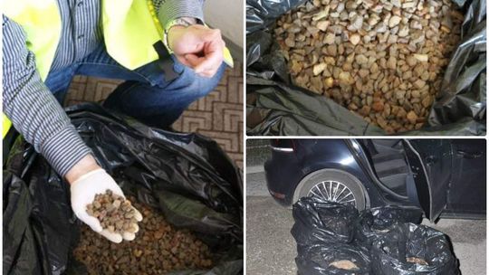 40 kilogramów bursztynu z przemytu