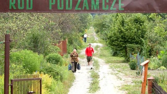 400 hektarów łakomego kąska. Czy działkowcy mogą spać spokojnie?