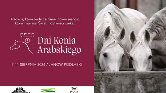 41 wyjątkowych koni, dwie prestiżowe aukcje i międzynarodowi goście. Zbliżają się Dni Konia Arabskiego