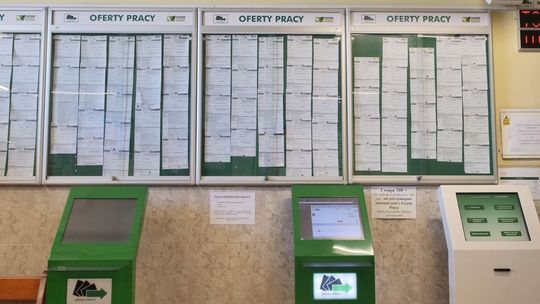 420 osób straciło pracę w Lubelskiem w ramach zwolnień grupowych. Te firmy zwalniały