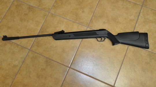 45-latek z Chełma odpowie za postrzelenie psa