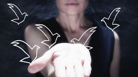 5. edycja Festiwalu Piosenki Artystycznej "Wschody" - Program